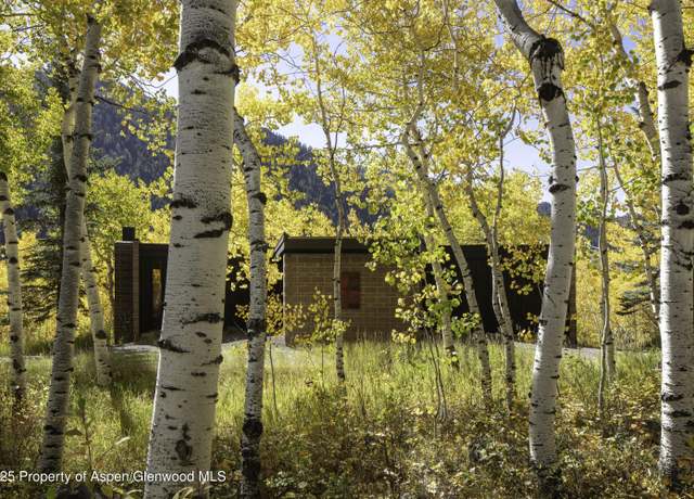 Property at 258 Roaring Fork Dr, Aspen, CO 81611, 2 beds, 2 baths
