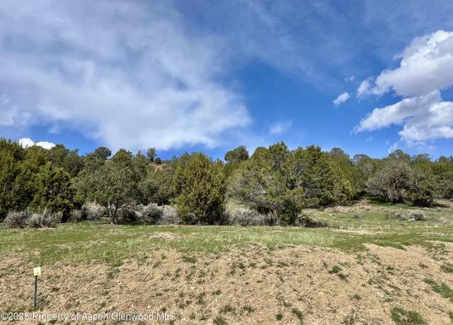 Property at 318 Faas Ranch Rd, New Castle, CO 81647