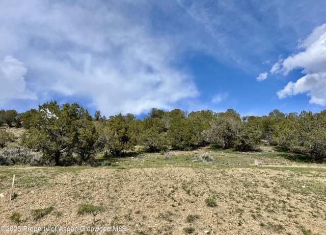 Property at 322 Faas Ranch Rd, New Castle, CO 81647