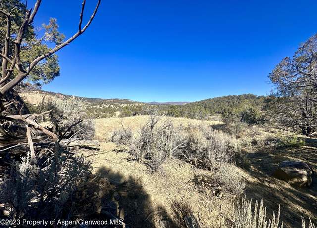Property at TBD Cactus Park Rd, Cedaredge, CO 81413