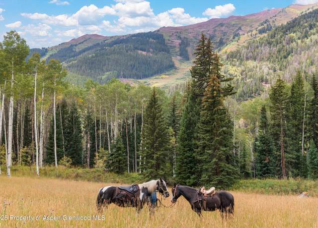 Property at TBD Conundrum Creek Rd, Aspen, CO 81611