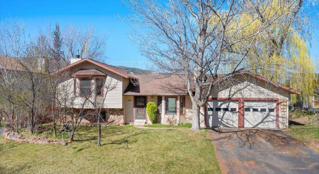 Photo of 219 Arapahoe, Carbondale, CO 81623
