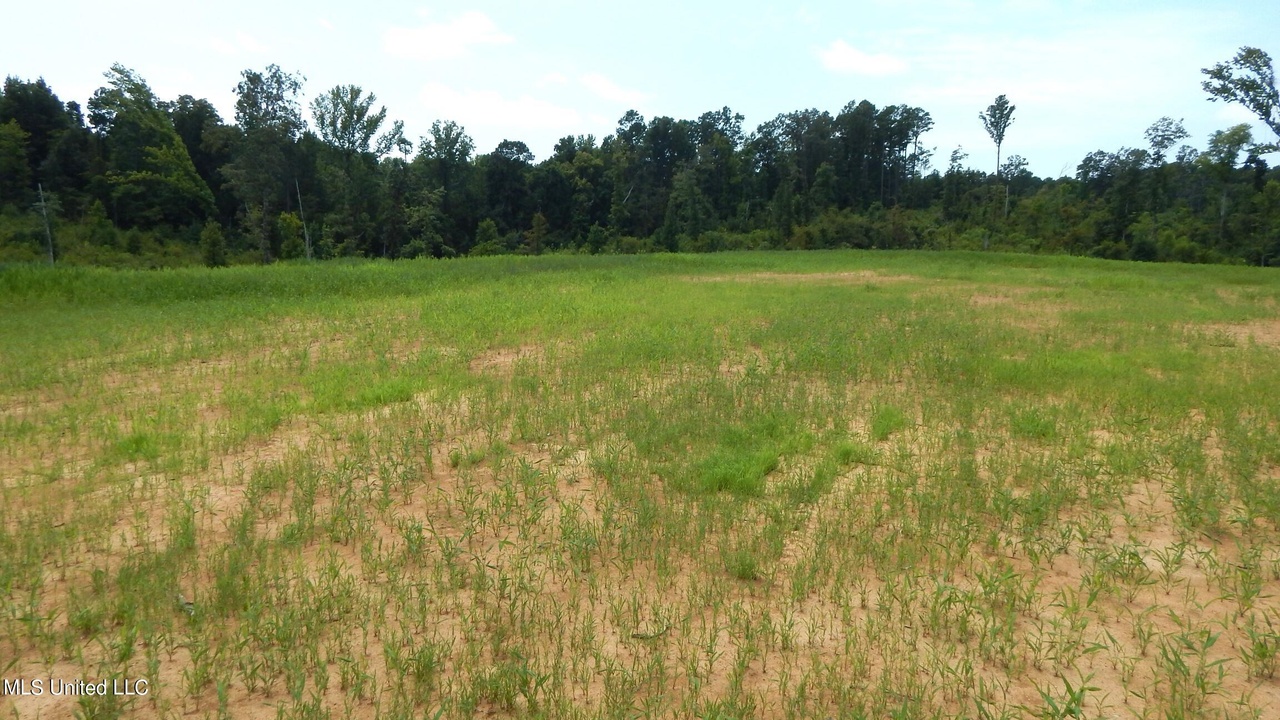 6414 Pea Ridge Rd, Grenada, MS 38901 MLS 4024223 Redfin