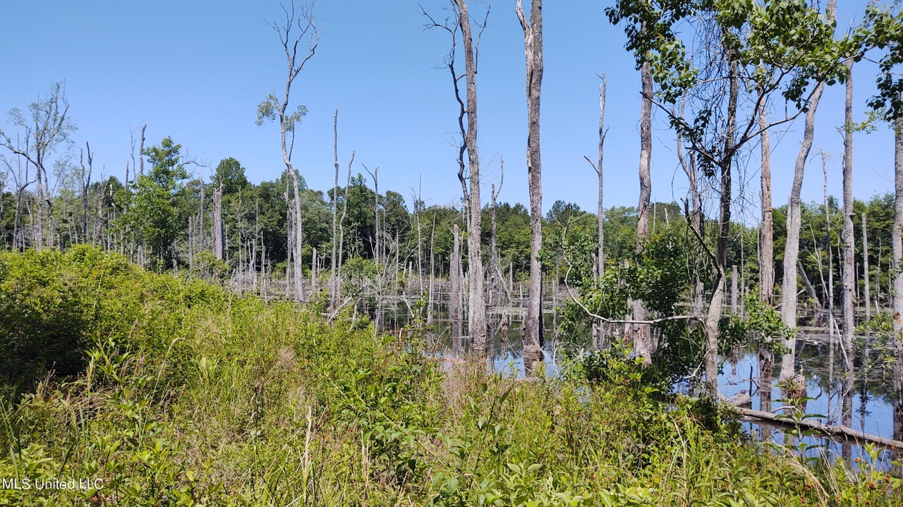 117 Meadow Hill Dr, Poplarville, MS 39470 MLS 4038391 Redfin