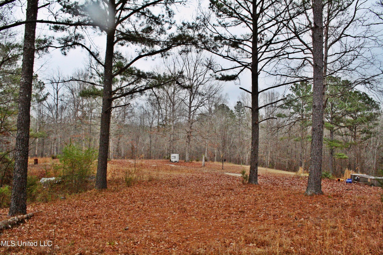 1811 Mcgee Rd, Blue Mountain, MS 38610 | MLS# 4066662 | Redfin