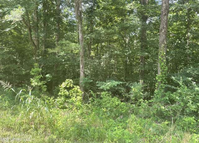 Property at Magnolia Cir, Sarah, MS 38665