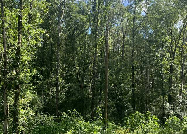 Property at Old Highway 35, Carthage, MS 39051