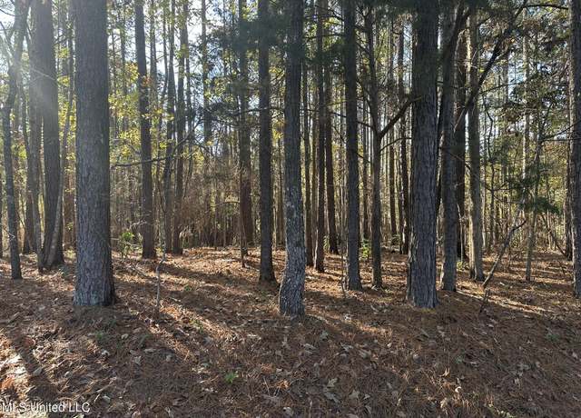 Property at Bones Rd Rd, Florence, MS 39073