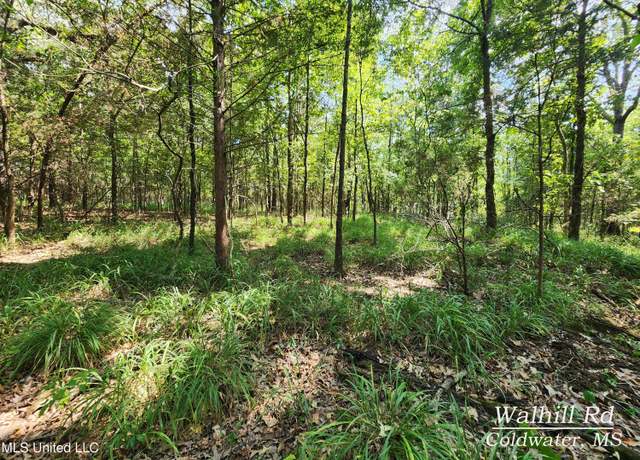 Property at Walhill Rd, Coldwater, MS 38618