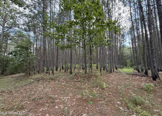 Property at County Road 5204, Ethel, MS 39067