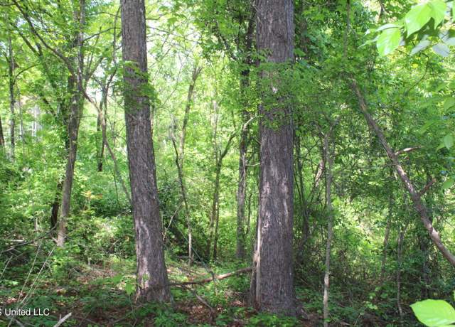 Property at 1800 Highway 4 East, Ashland, MS 38603