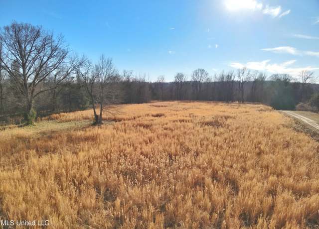 Property at Broomfield Road Rd, Yazoo City, MS 39194