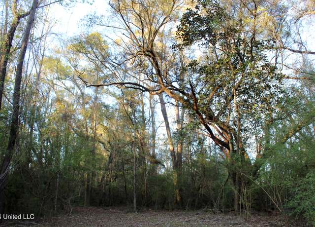 Property at Frank Snell Rd, Moss Point, MS 39562