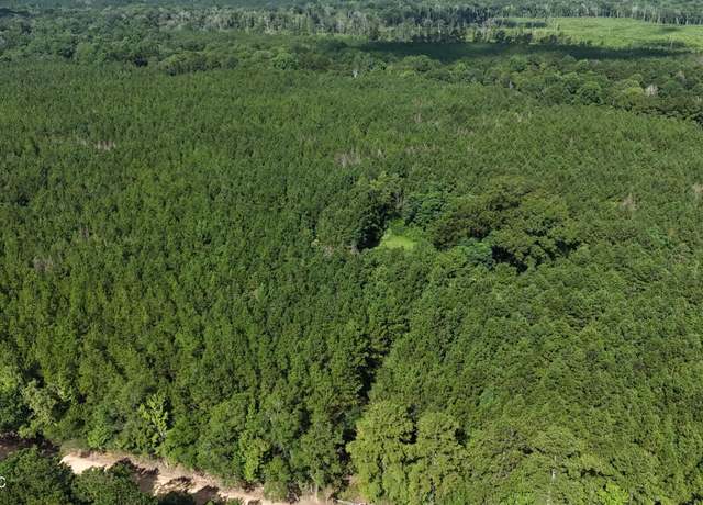 Property at Trask Rd, Centreville, MS 39631