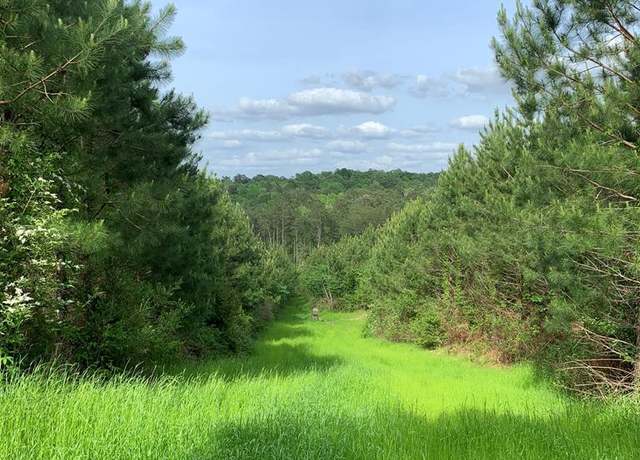 Property at . Macedonia Rd, Centreville, MS 39631