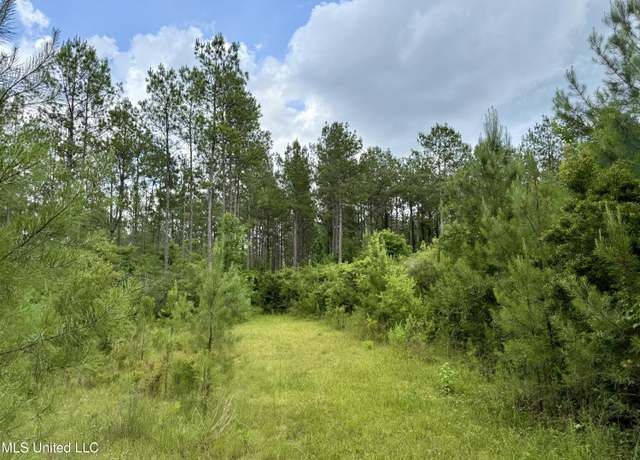 Property at Sones Chapel Rd Rd, Carriere, MS 39426