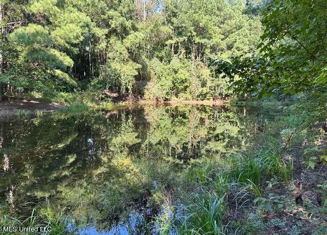 Property at Hilt Fornea Rd, Poplarville, MS 39470