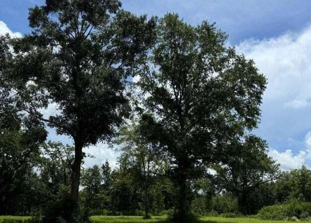 Property at 24.9 Acres Basin Central Rd, Lucedale, MS 39452