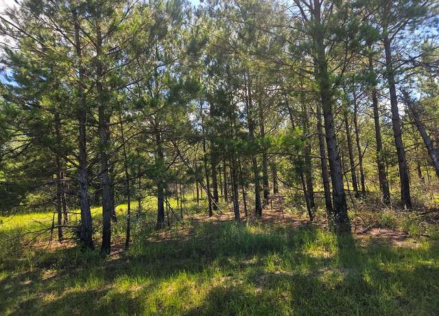Property at 0 Highway 43, Columbia, MS 39429