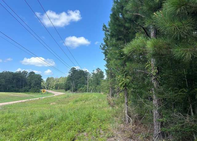 Property at TBD Hwy 570, Summit, MS 39666