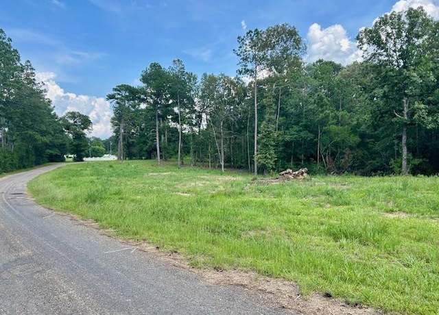 Property at 0 Bridges Quin Cir, Summit, MS 39666