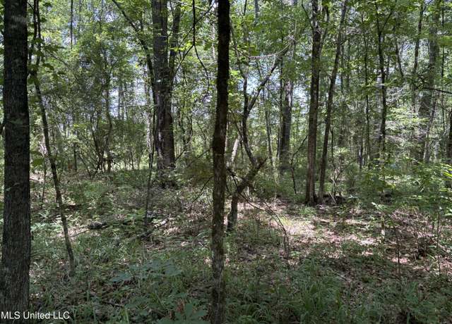 Property at 000 West Bennett Rd Country Road, Pulaski, MS 39152