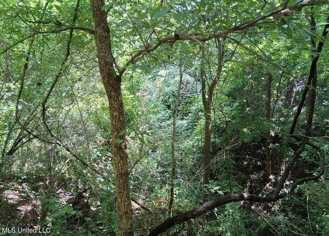 Property at N Azalea Ln, Natchez, MS 39120