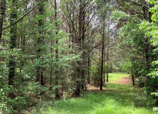 Property at . Shucktown Rd Or Old Cc Rd, Mccall Creek, MS 39647