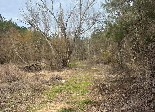 Property at 000 Felix Sartin, Columbia, MS 39654