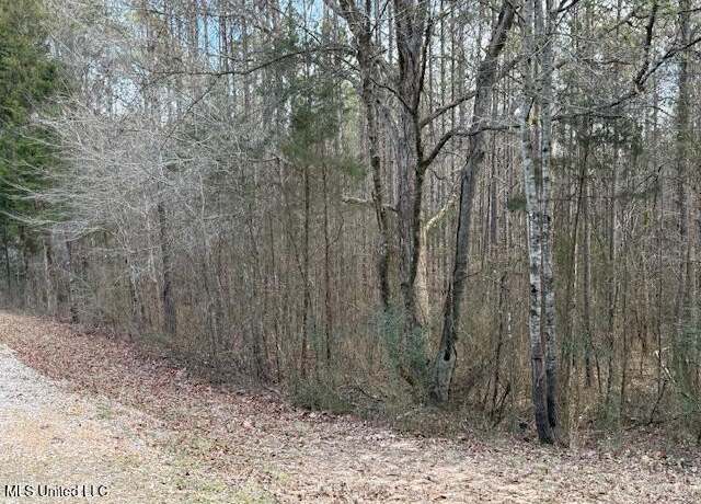 Property at 129 Gadd Rd, Potts Camp, MS 38659