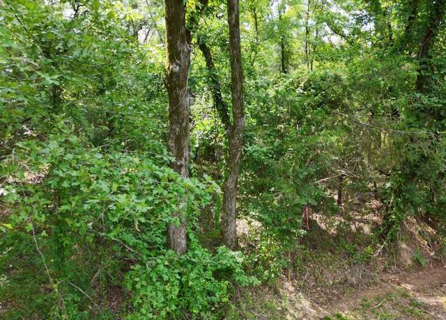 Property at 0 Chapel Hill Rd, Utica, MS 39175