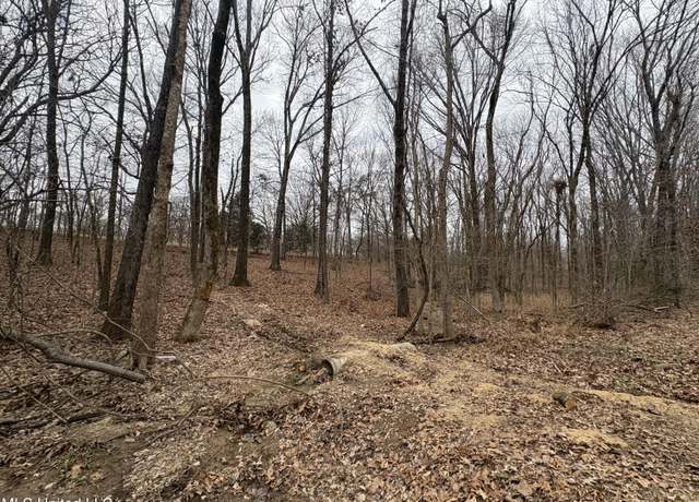Property at Hidden Valley Rd, Coldwater, MS 38618
