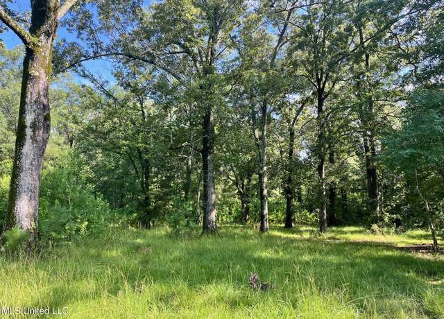 Property at Old Hwy 49 S, Richland, MS 39073