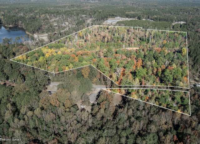Property at 36 +/- Acres Placid Dr, Sumrall, MS 39482