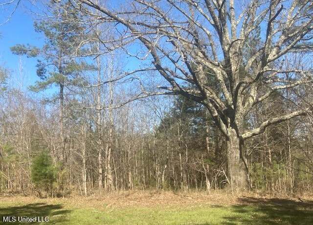 Property at 0 Hogan Rd, Mount Pleasant, MS 38635