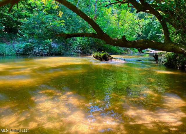 Property at Twin Bridge Rd, Sandy Hook, MS 39478