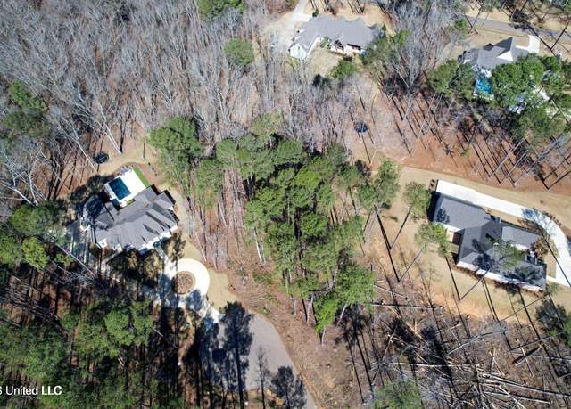 Property at 922 Brookhollow Ct, Flowood, MS 39232