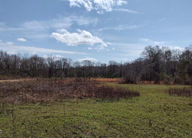 Property at No Archie Wheat Rd, Poplarville, MS 39470