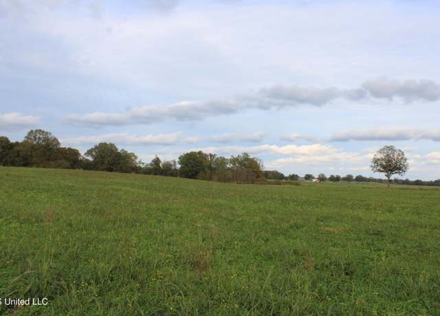 Property at 13782 Pebble Ridge Dr, Byhalia, MS 38611