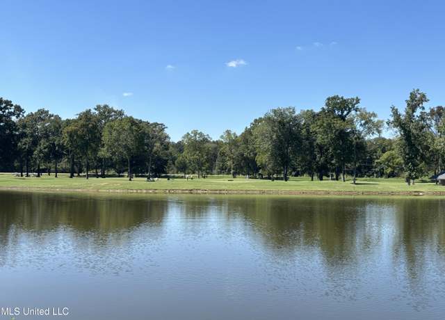 Property at Audubon Woods, Canton, MS 39046