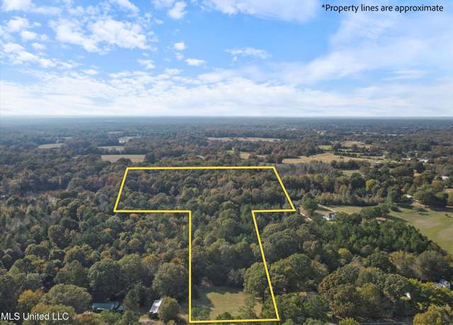 Property at 21.37 Ac Highway 305, Coldwater, MS 38618