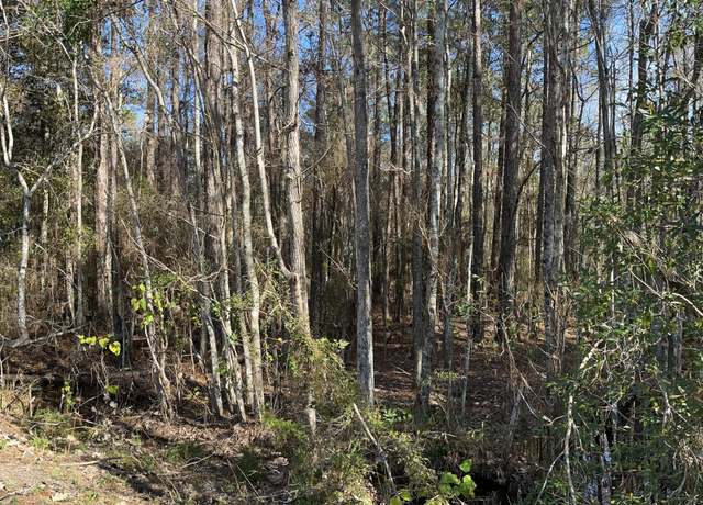 Property at 000000 E Robin Wood Dr, Picayune, MS 39466