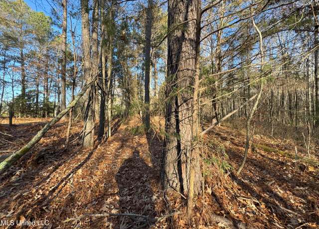 Property at 0 Cox Ferry Rd, Flora, MS 39071