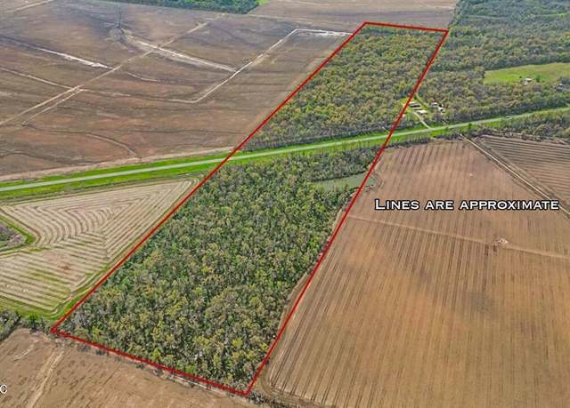 Property at 4000 Highway 65, Clayton, LA 71326