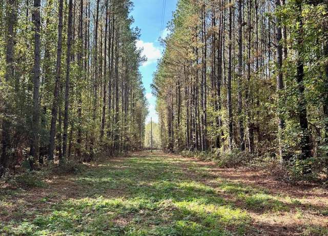Property at Lot A Swamp Rd, Carthage, MS 39051