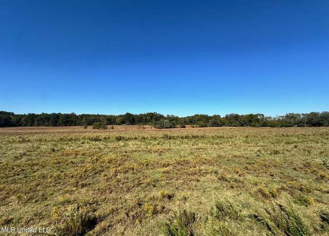 Property at Lot #2 Robinson - Warren Meadows Rd, Canton, MS 39046