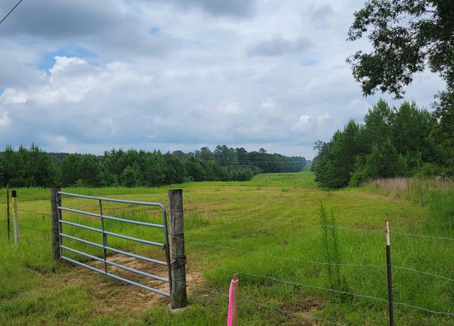 Property at Highway 13, Oak Vale, MS 39656