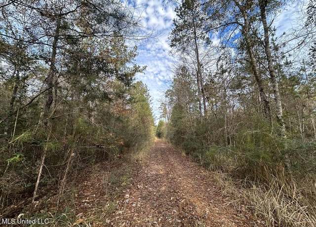 Property at 75 Entrekin Rd, Lumberton, MS 39455