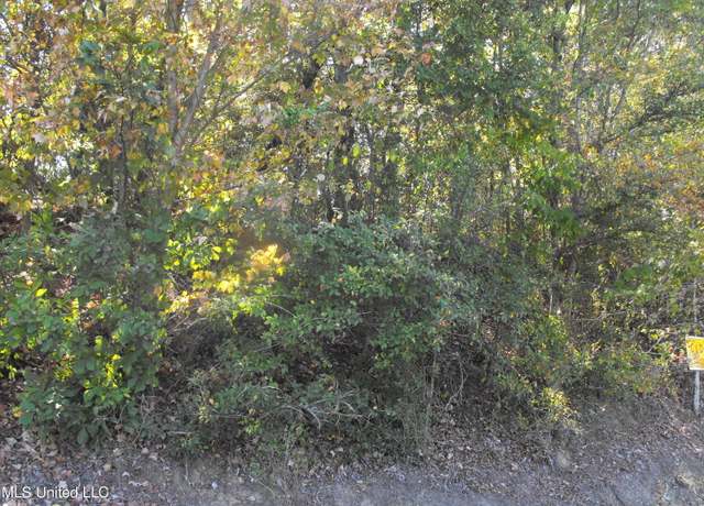 Property at Us 49, Braxton, MS 39044