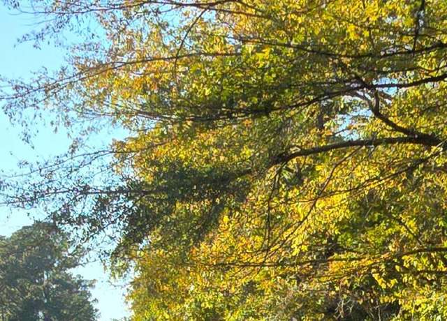Property at Mccluer Rd Rd, Jackson, MS 39212